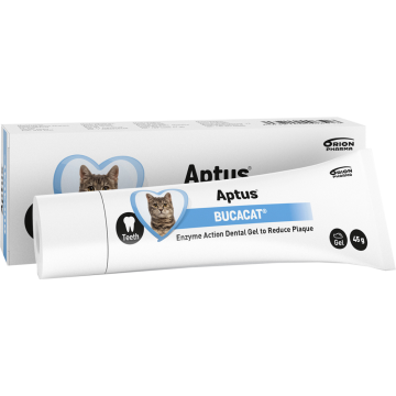 Aptus Bucacat hammasgeeli 45 g